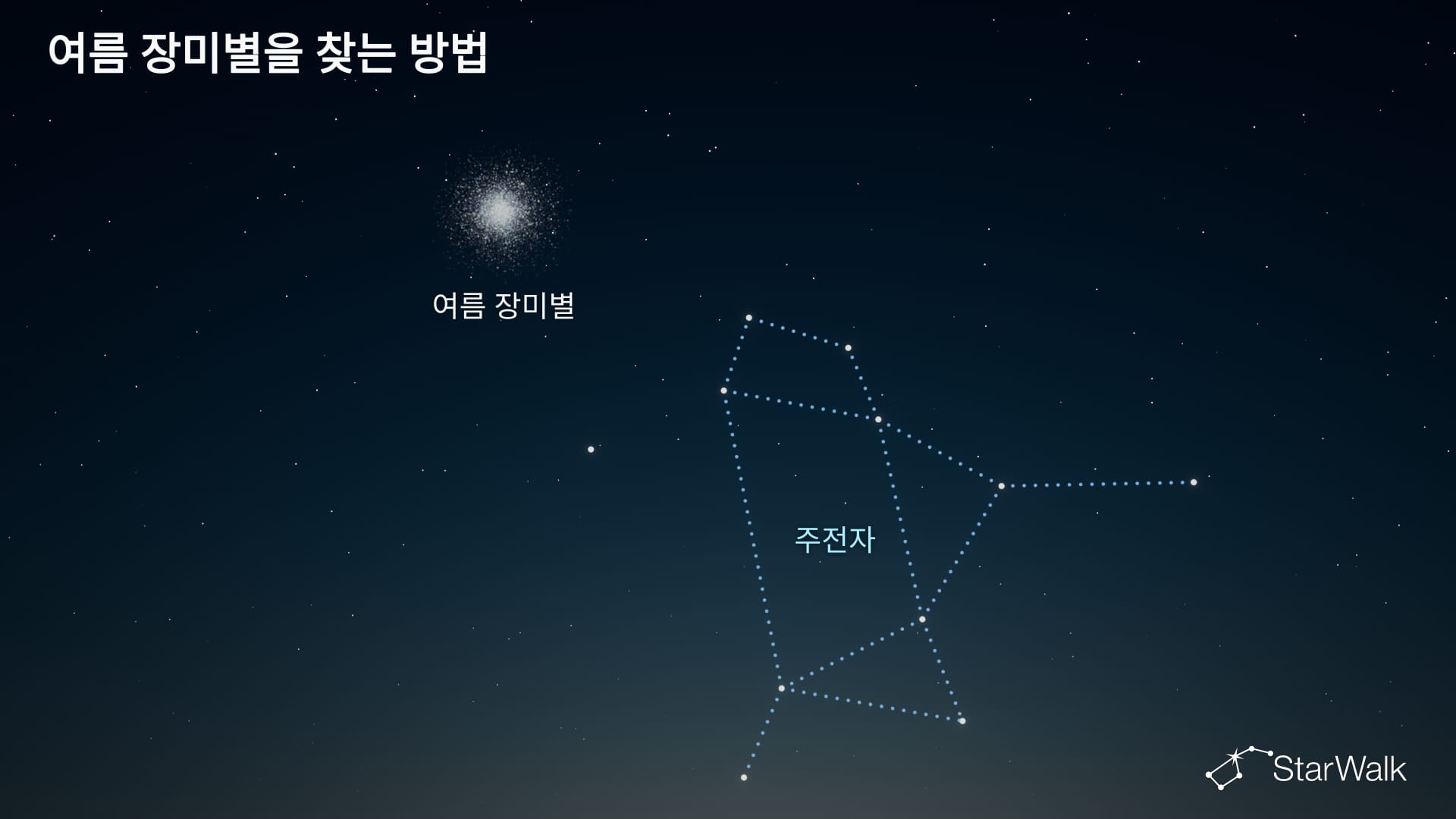 여름 장미별 – 찾는 방법