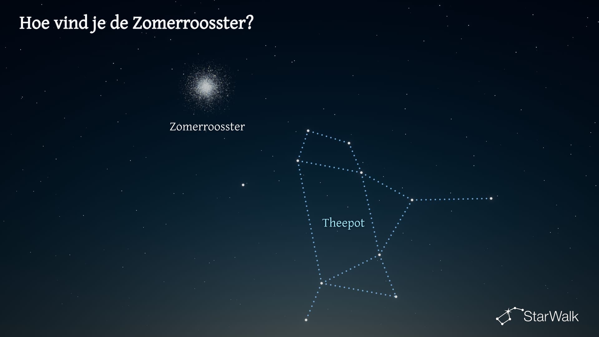 Zomerroosster — Zo vind je hem