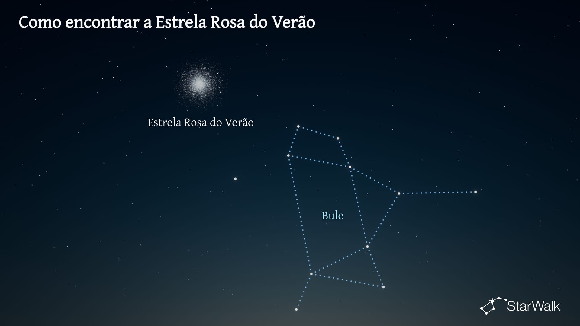 Estrela Rosa de Verão — Como encontrar