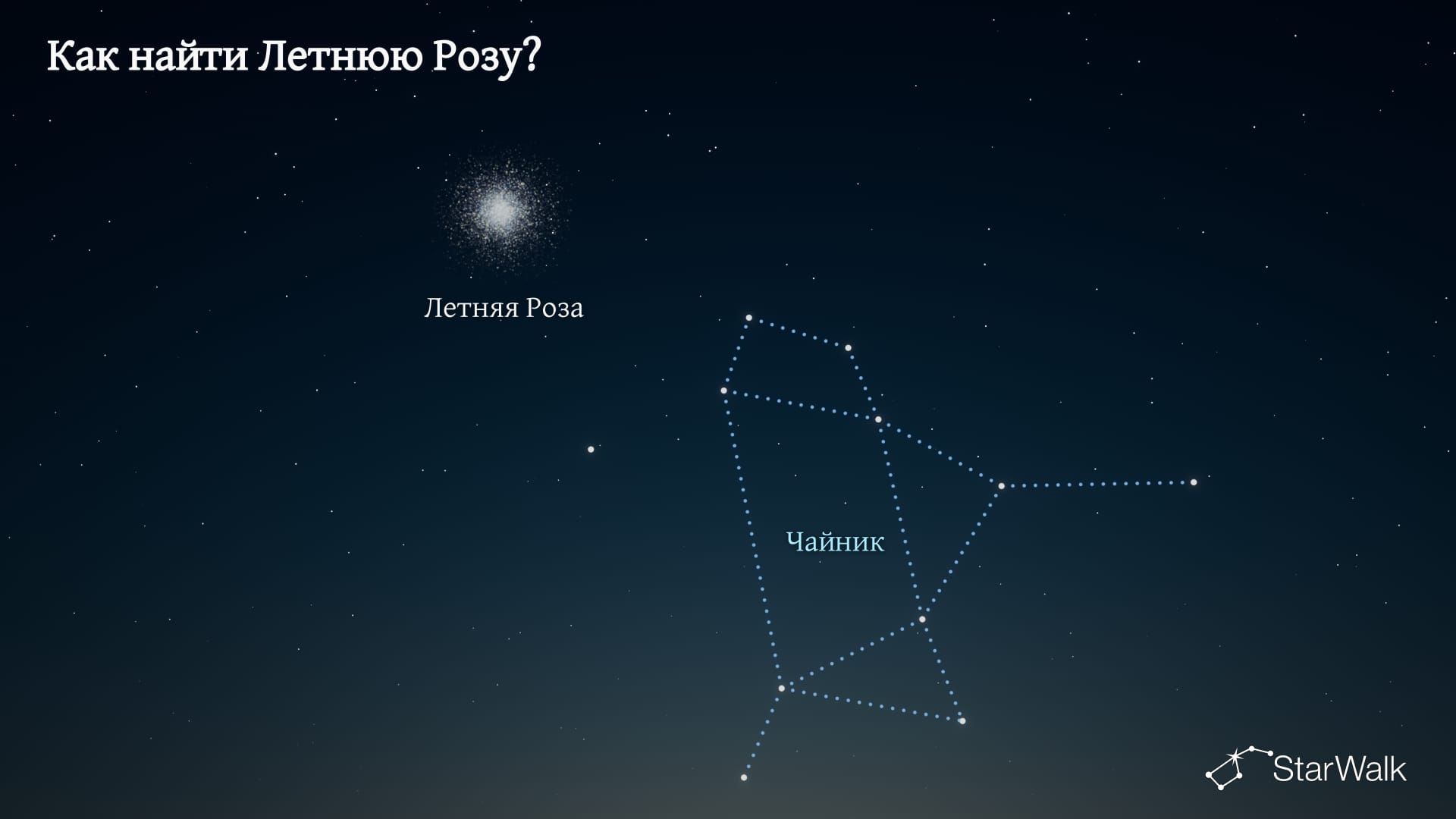 Летняя Роза — как найти
