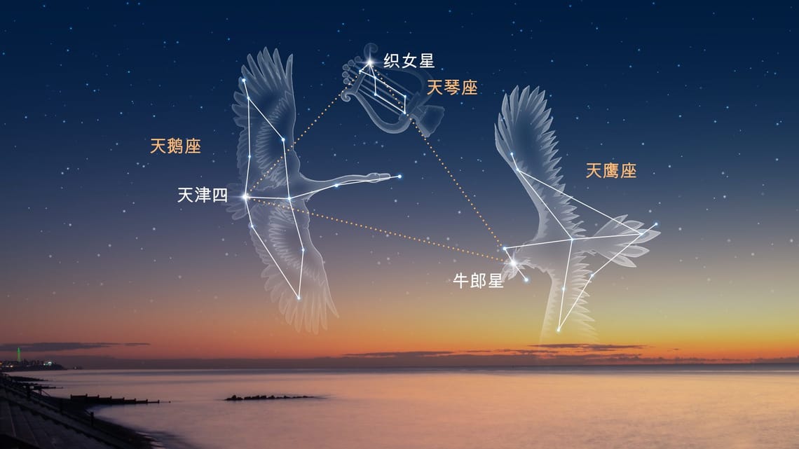 天鹰 | Aquila 天鹰座 | Aquila中文 | 鹫鸟座