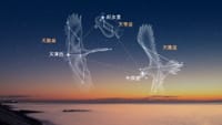 The Summer Triangle asterism