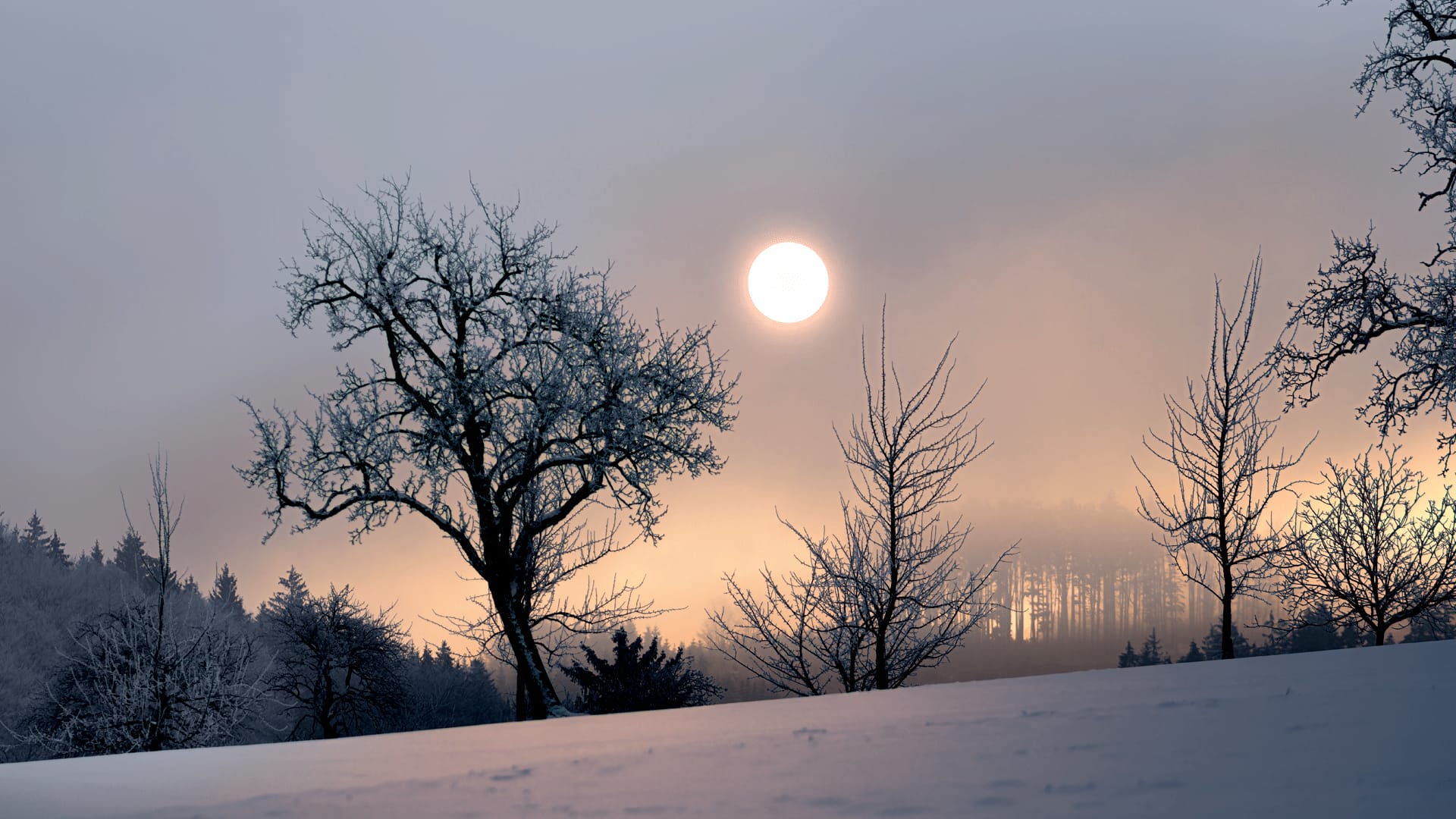 Sun on Winter Solstice