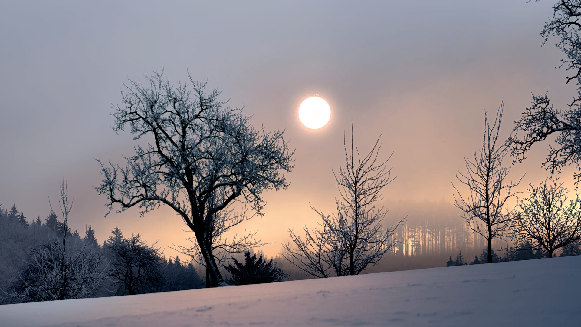 Shortest Day 2025 Schrikkeljaar Daniel B Walker