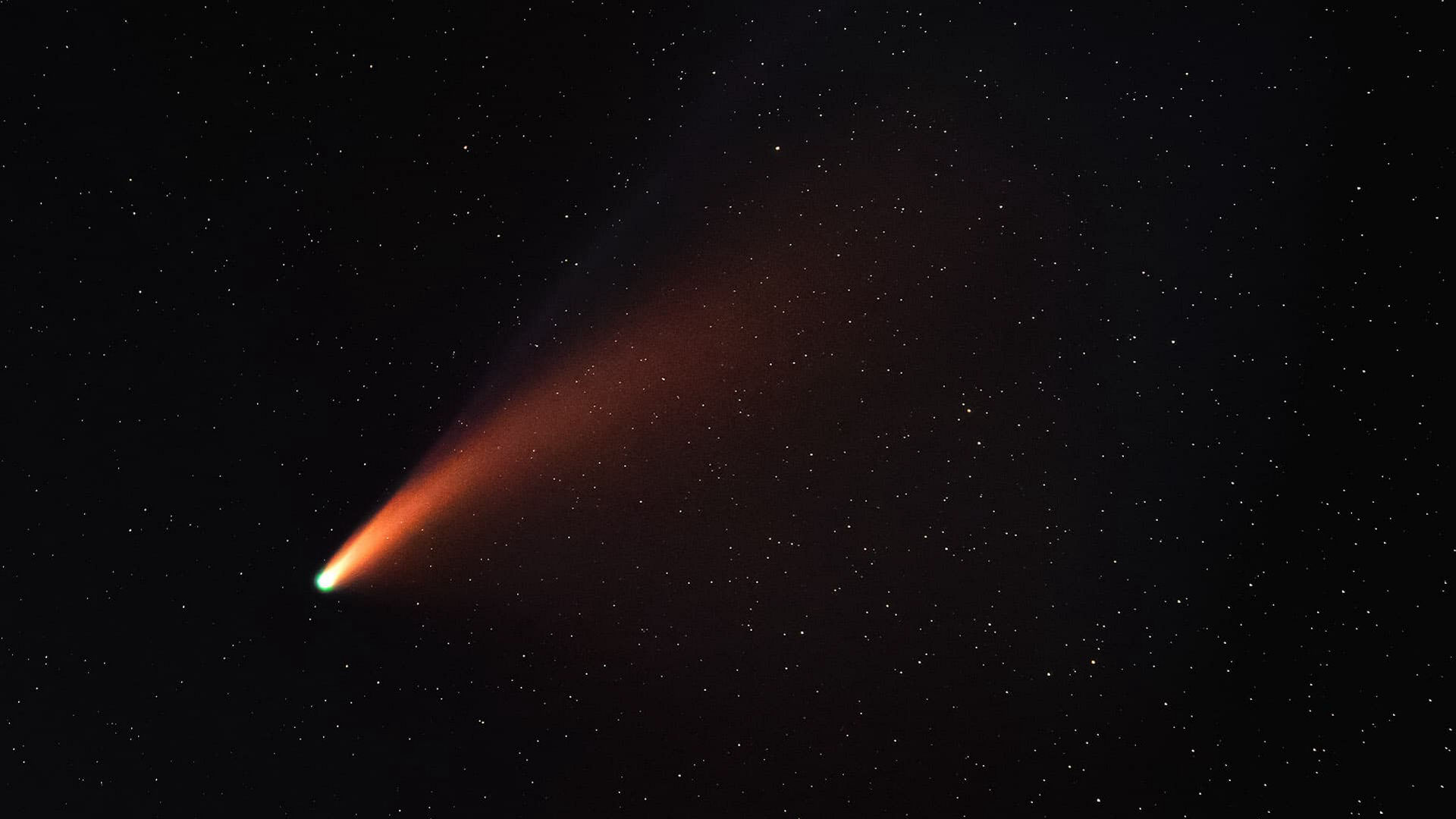The Brightest Comets of 2020 and 2021
