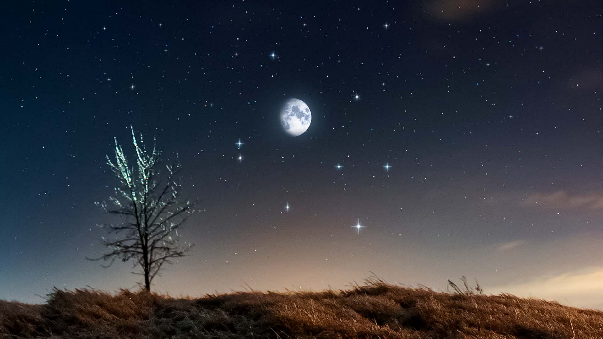 冬のダイヤモンドの中の月を見る Star Walk