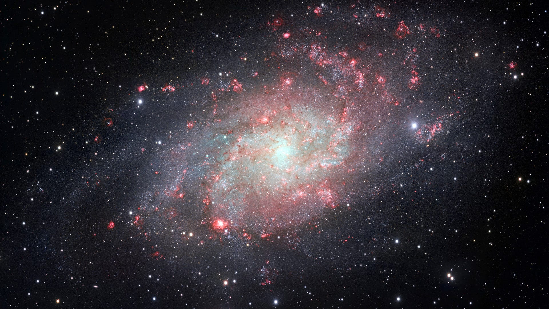 Dreiecksgalaxie