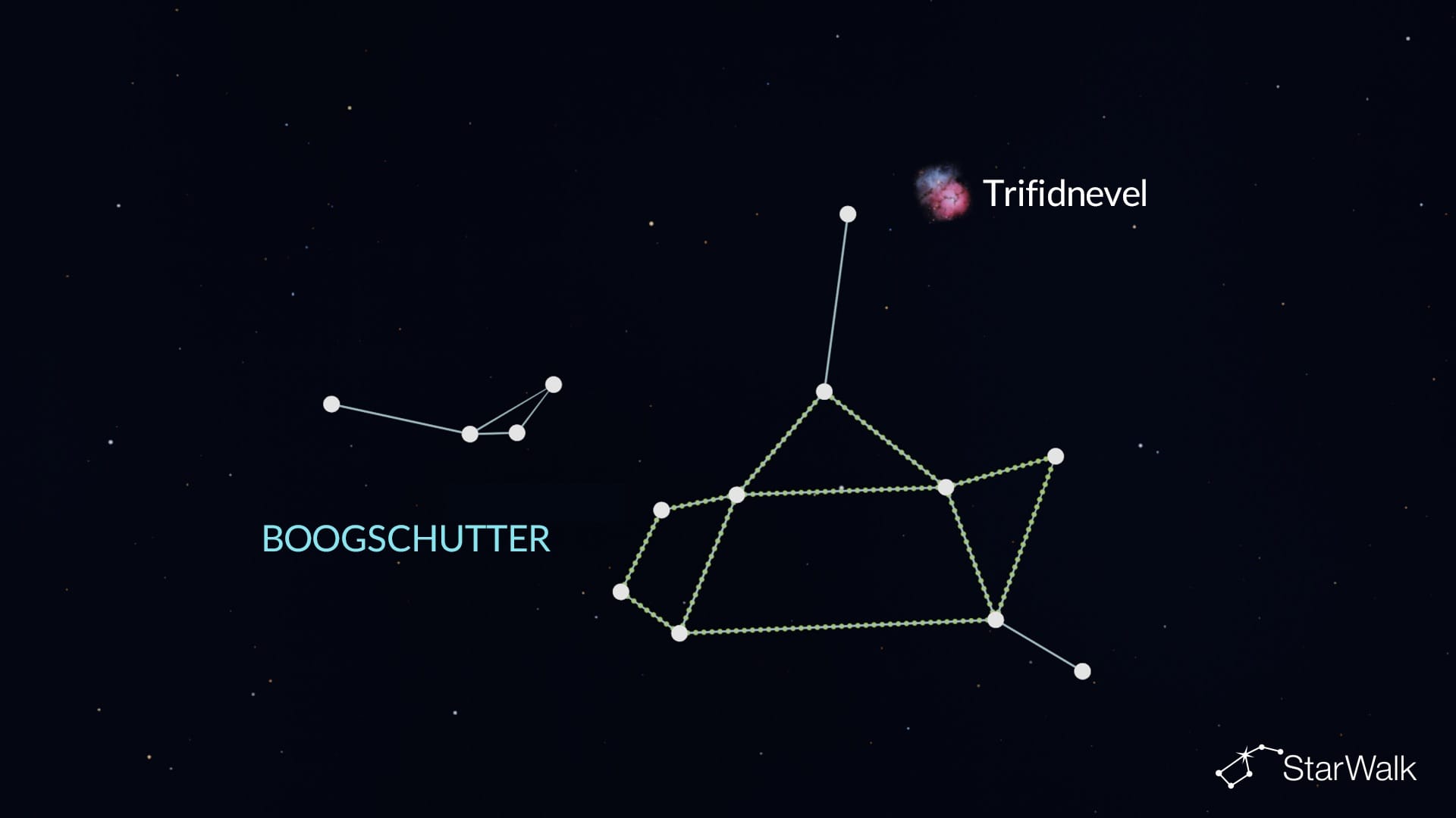 Trifidnevel in Boogschutter