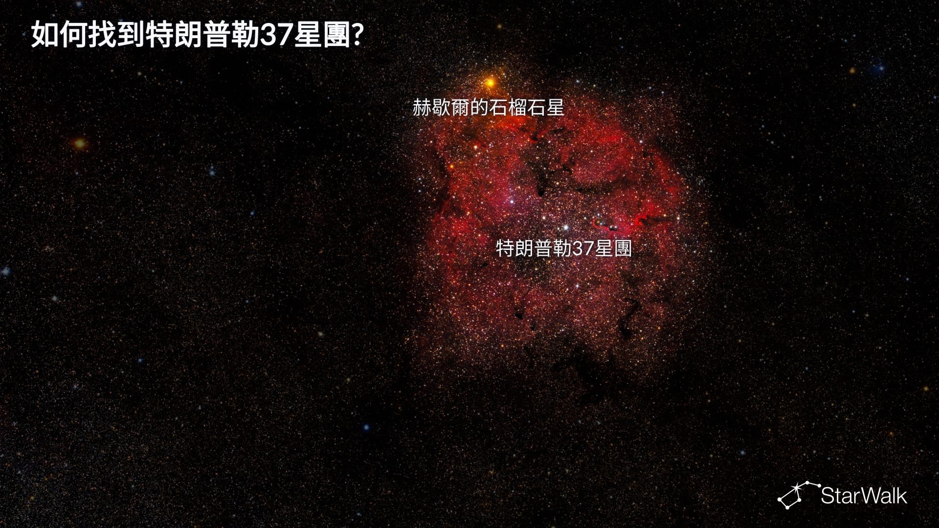 特朗普勒37——如何尋找