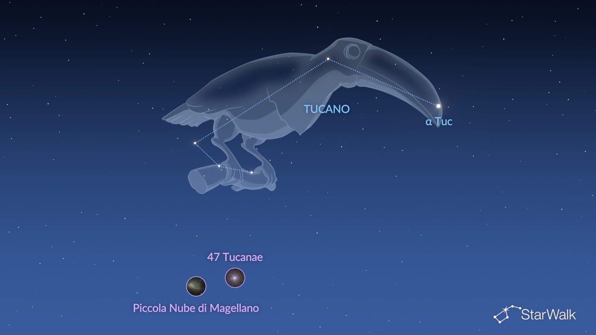 Tucana