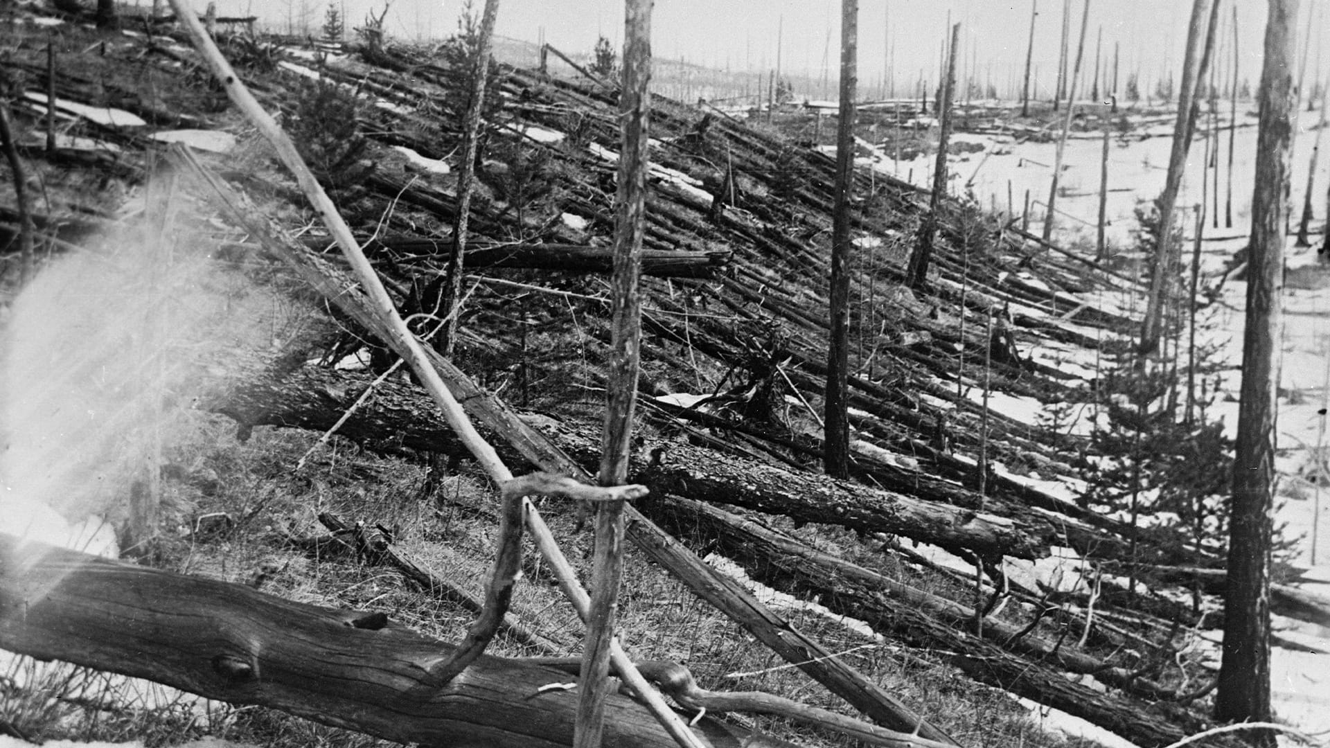 Tunguska explosion aftermath