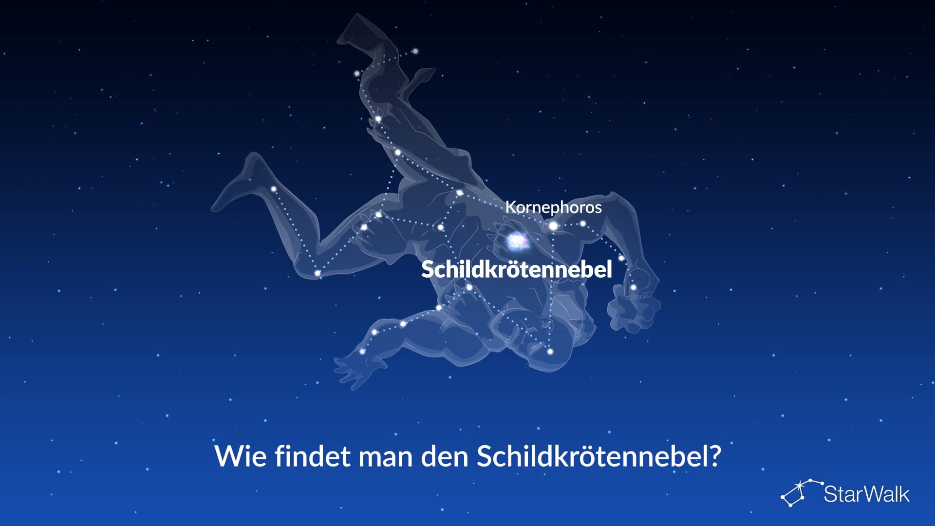 Schildkrötennebel – So finden Sie ihn