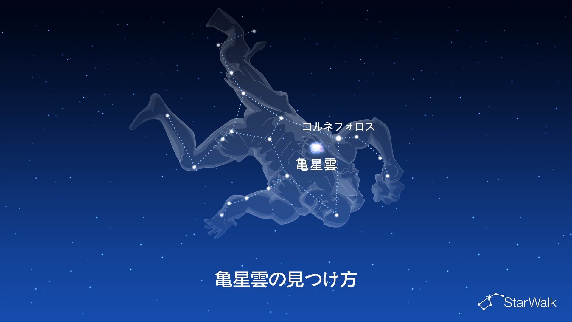 亀星雲の見つけ方
