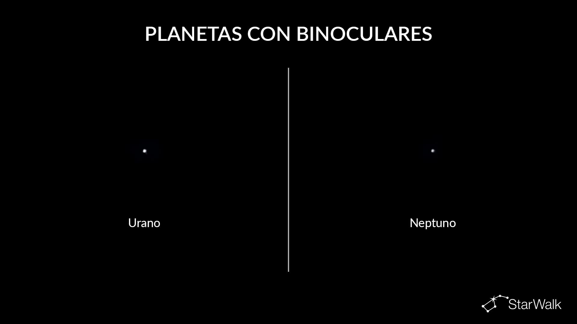 Urano y Neptuno con binoculares
