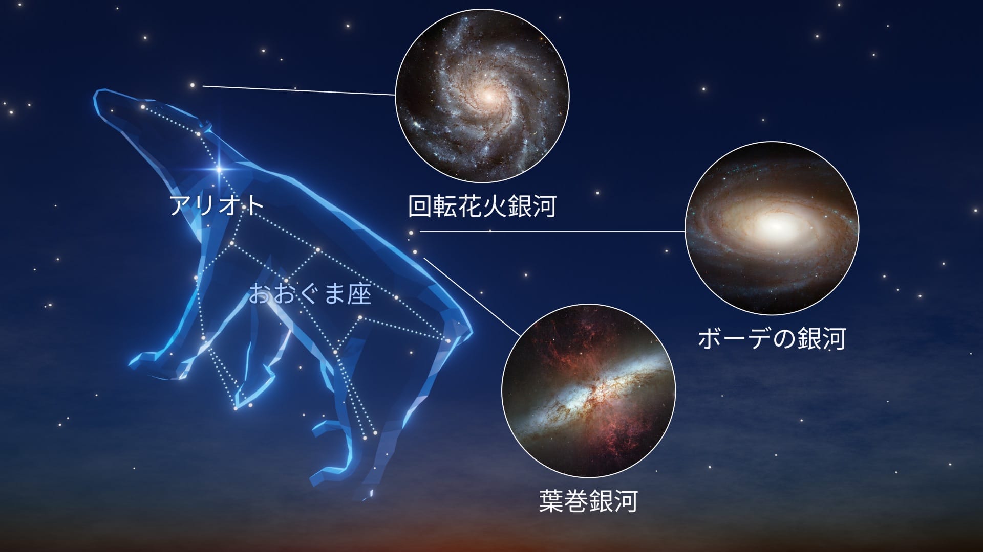 おおぐま座:最も明るい恒星と注目すべき深空天体