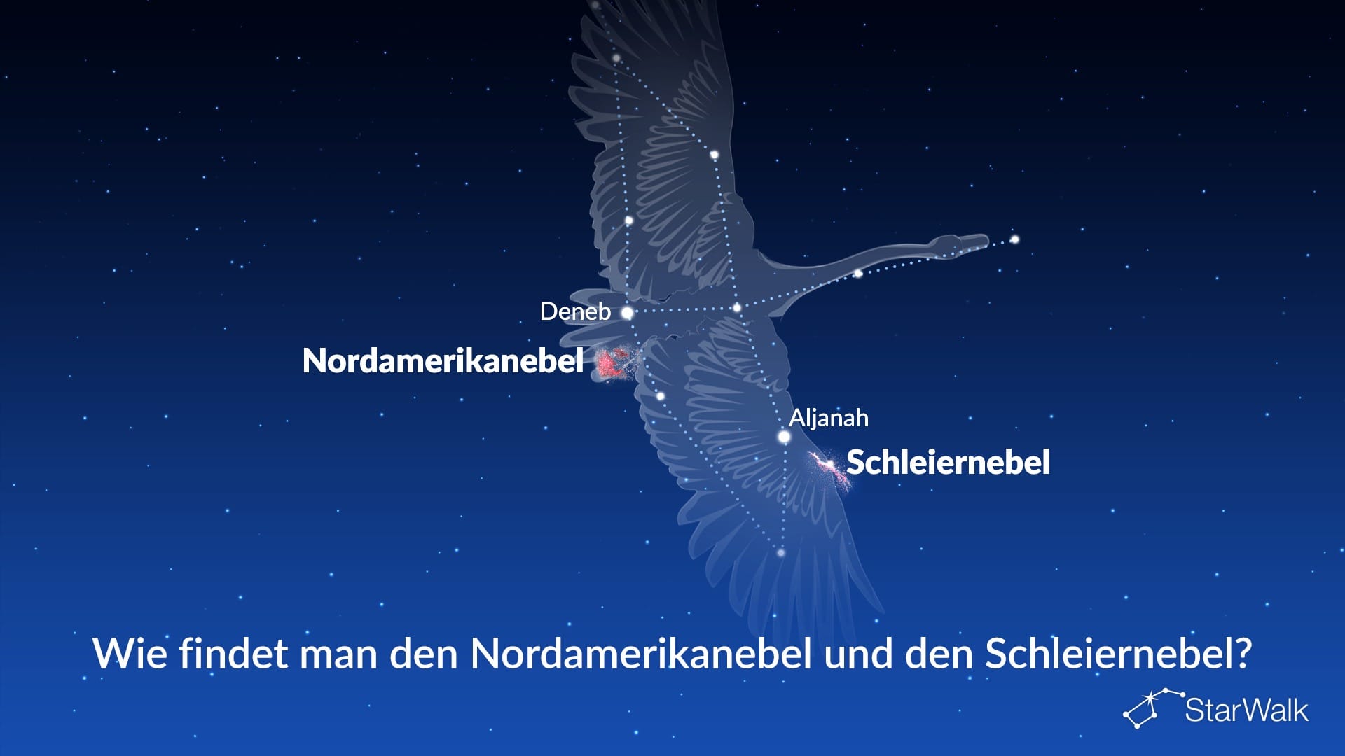 Nordamerikanebel und Schleiernebel – So finden Sie sie
