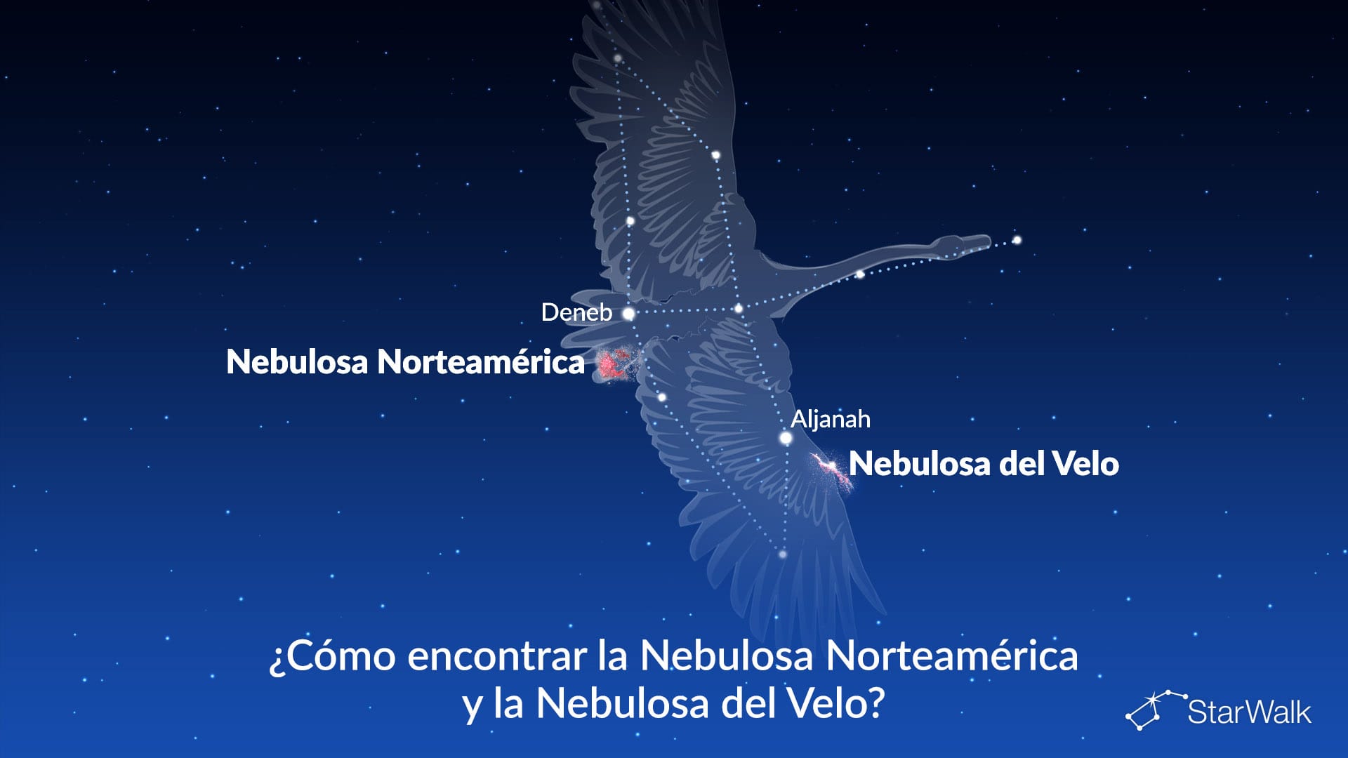 Nebulosa de Norteamérica y Nebulosa del Velo: cómo encontrarlas