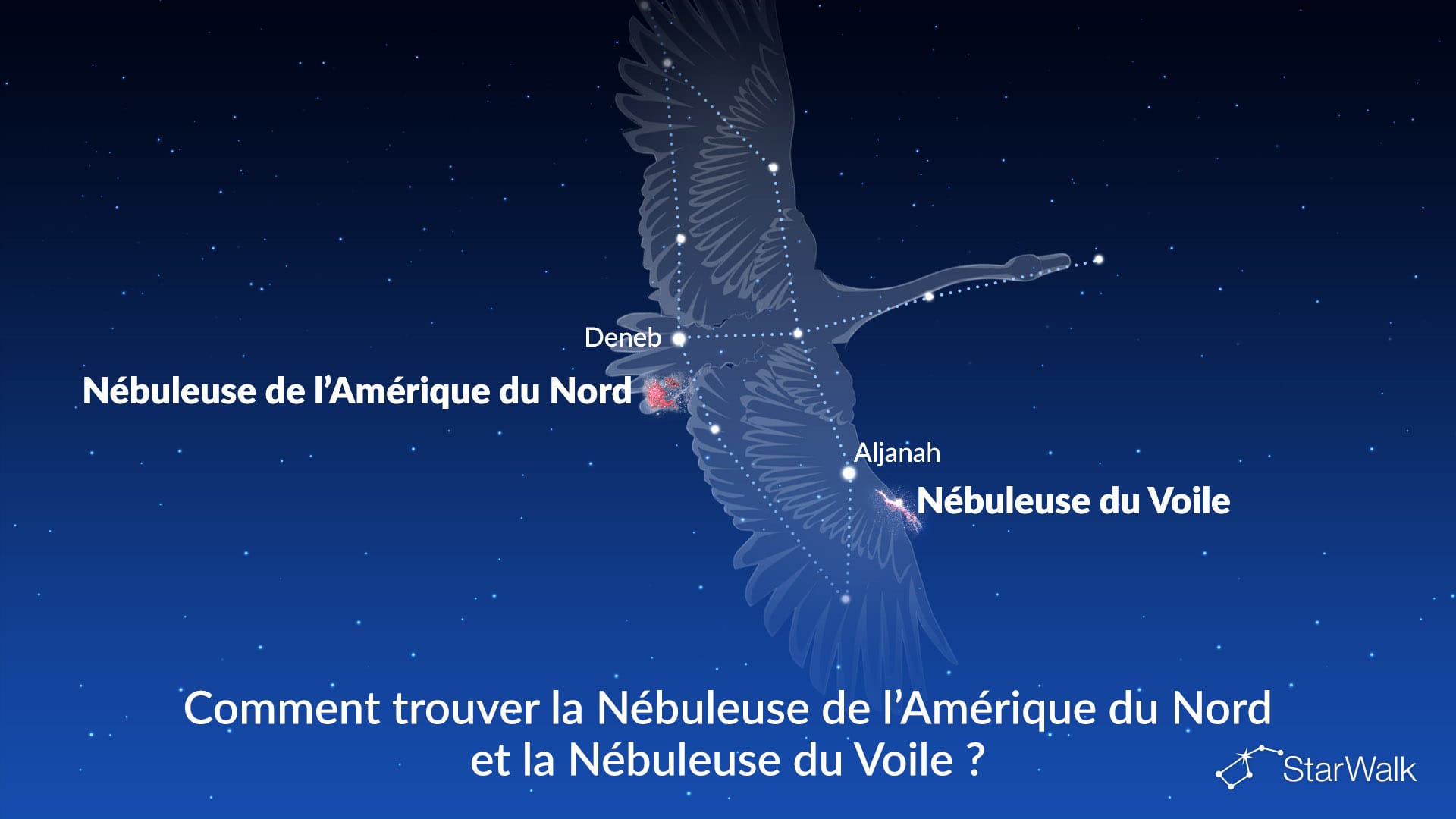 Nébuleuse de l’Amérique du Nord et Nébuleuse du Voile — comment les trouver