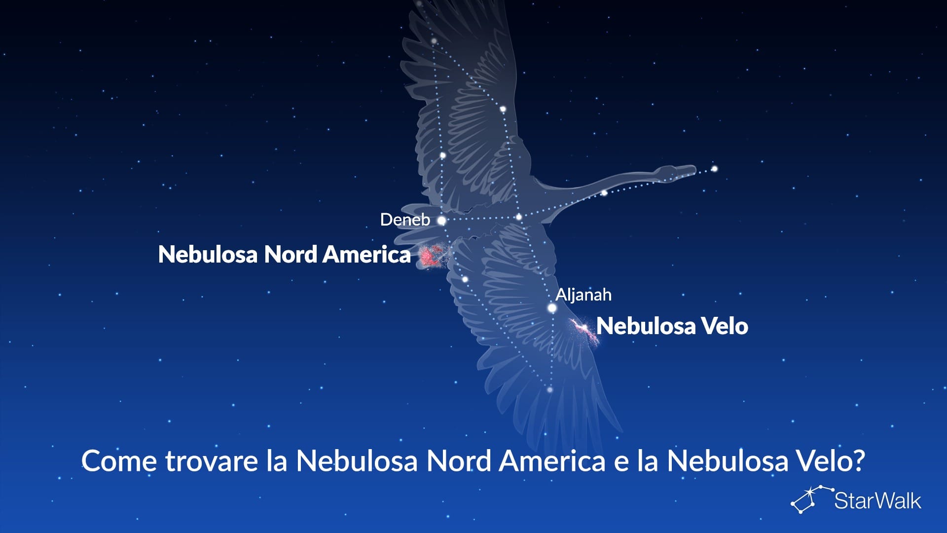 Nebulosa Nord America e Nebulosa Velo — come trovarle