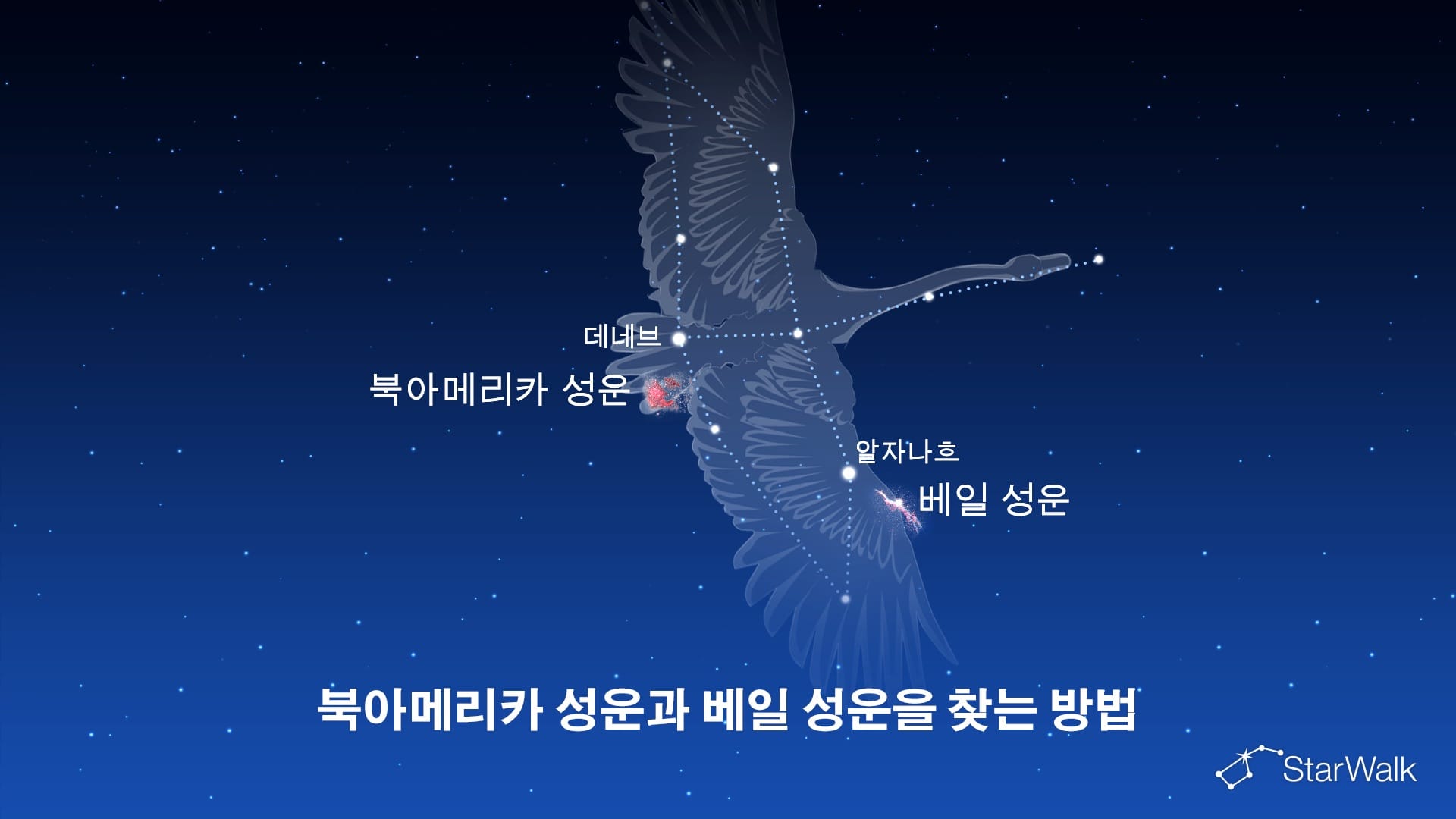 북아메리카 성운과 베일 성운 – 찾는 방법