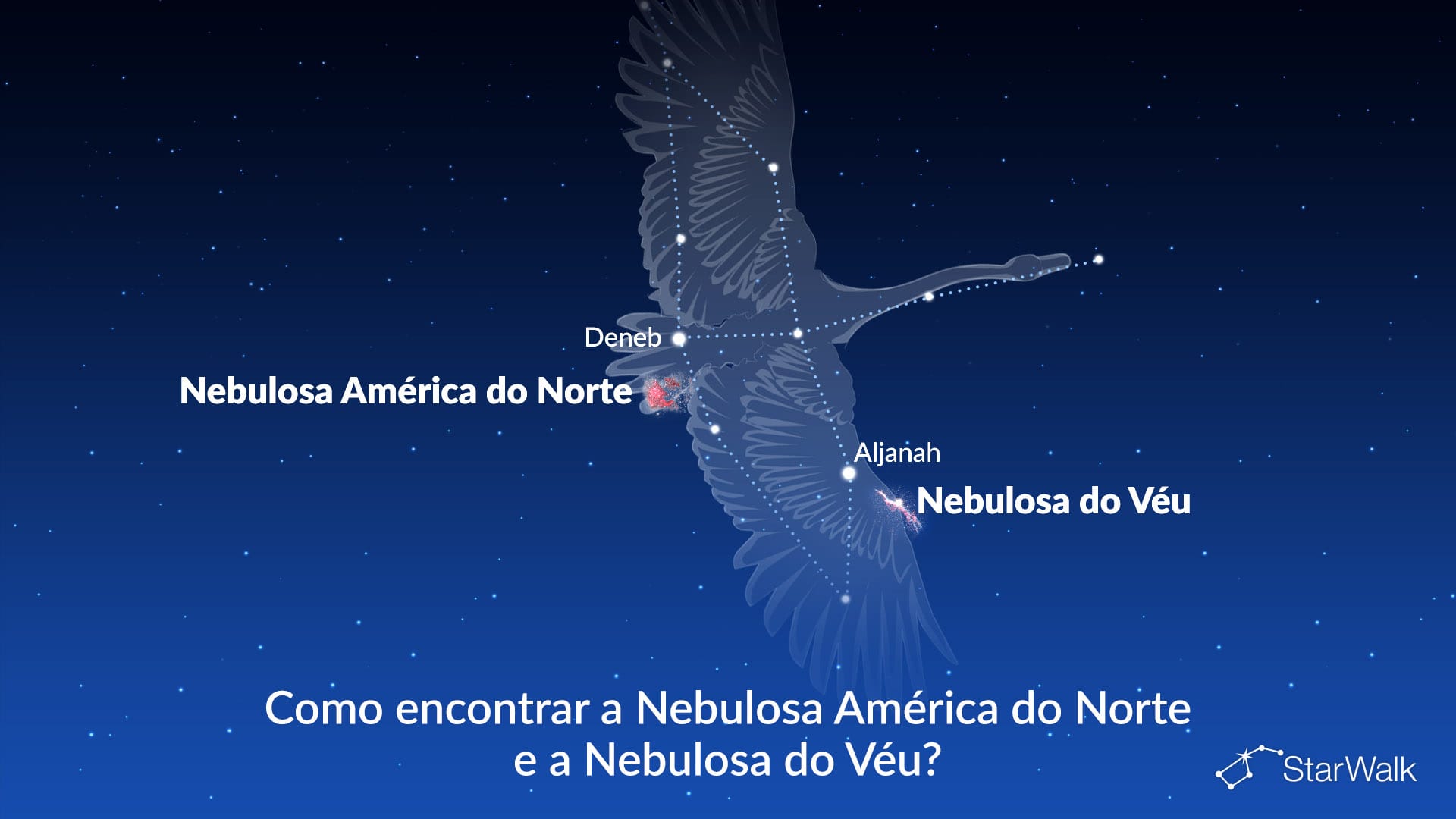 Nebulosa da América do Norte e Nebulosa do Véu — como encontrar