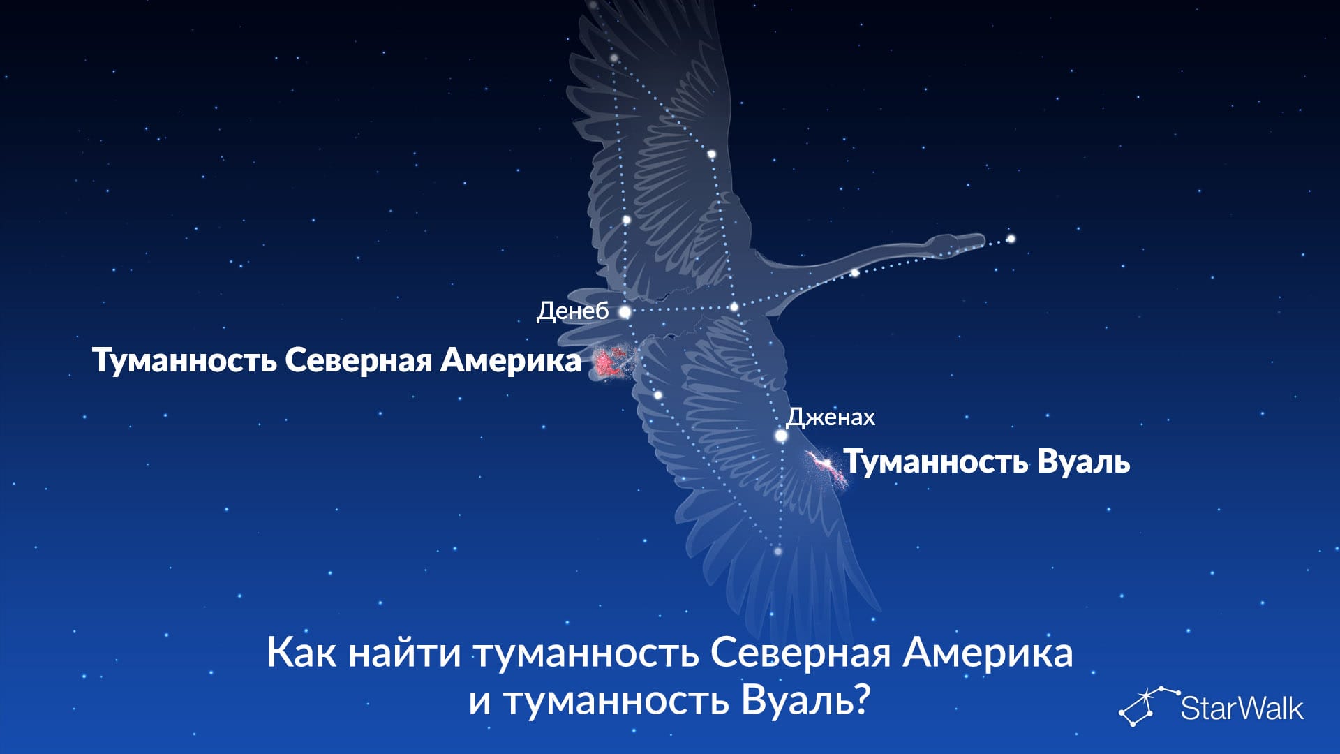 Туманность Северная Америка и туманность Вуаль — как найти