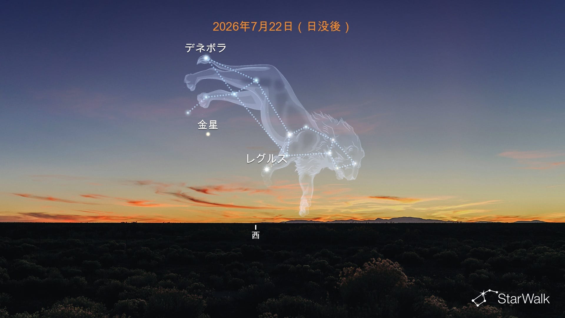 2026年7月のレグルスとデネボラの間にある金星