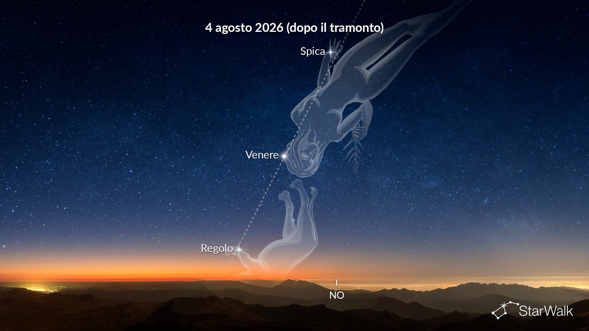 Venere a metà strada tra Regolo e Spica