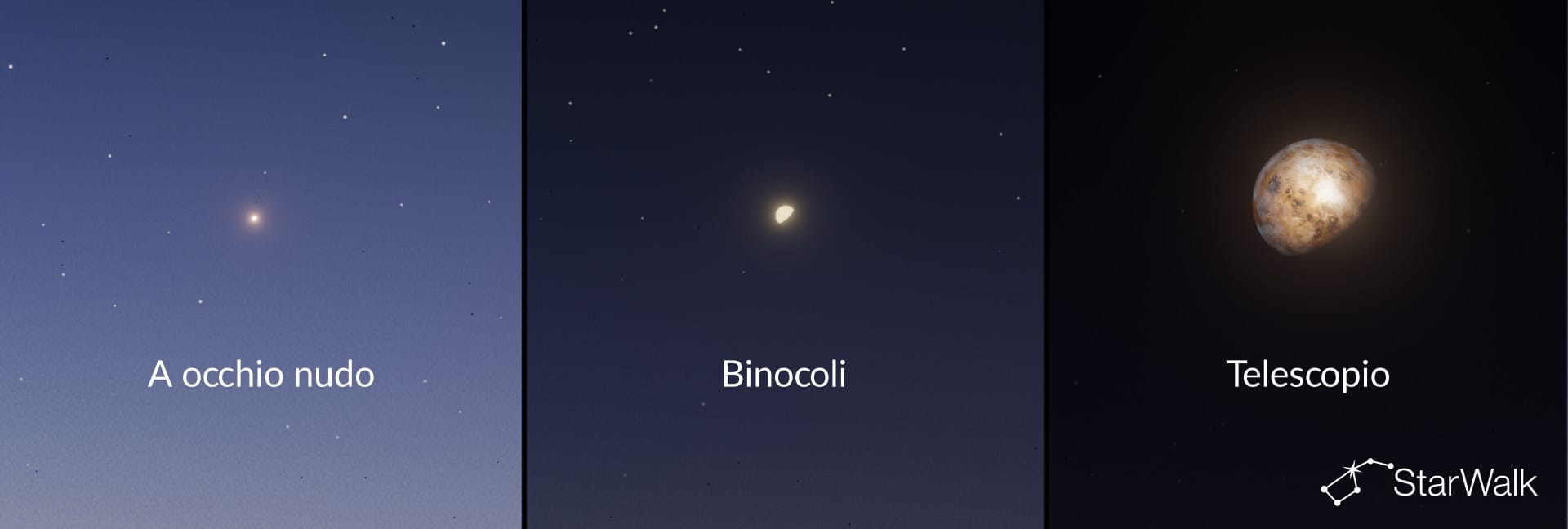Come appare Venere con diversi strumenti di osservazione