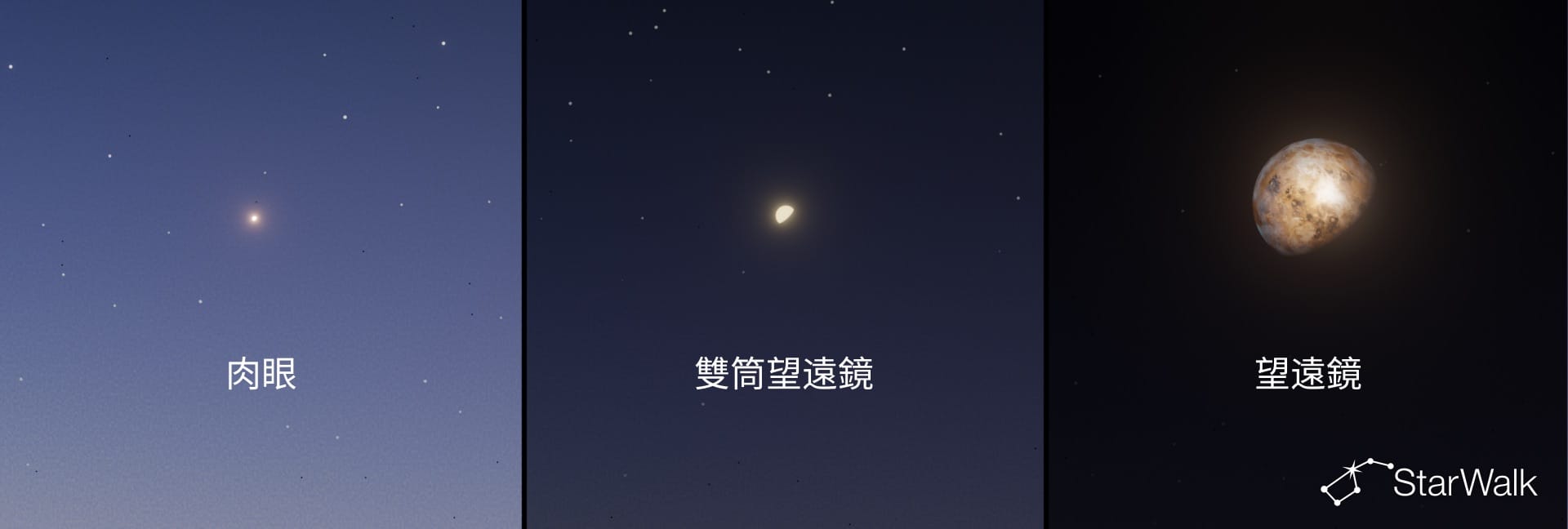 通過不同觀測工具看到的金星