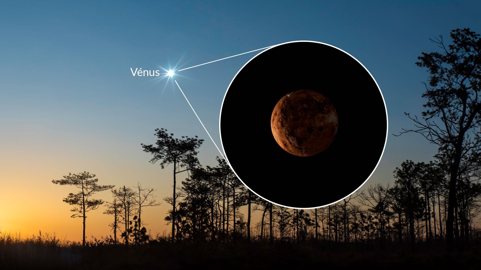 Venus Peak Brightness, April 2025