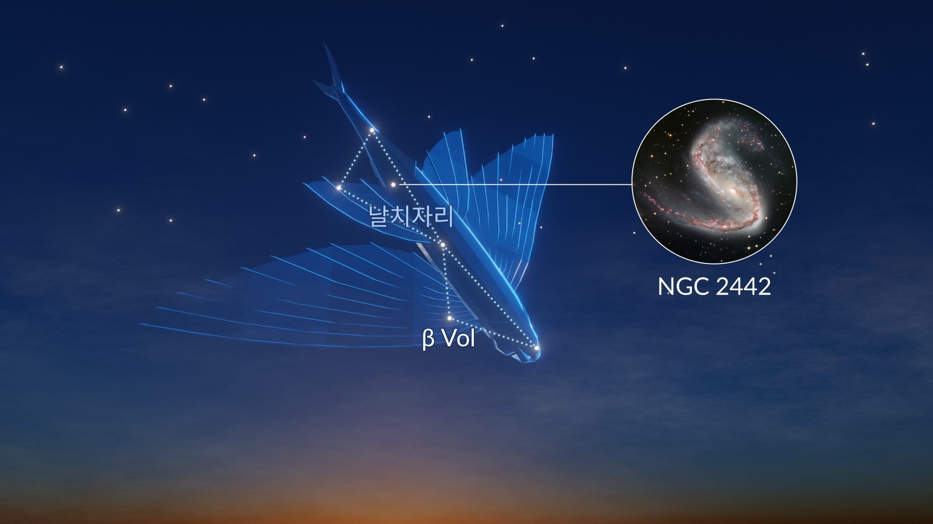 Constellation Volans