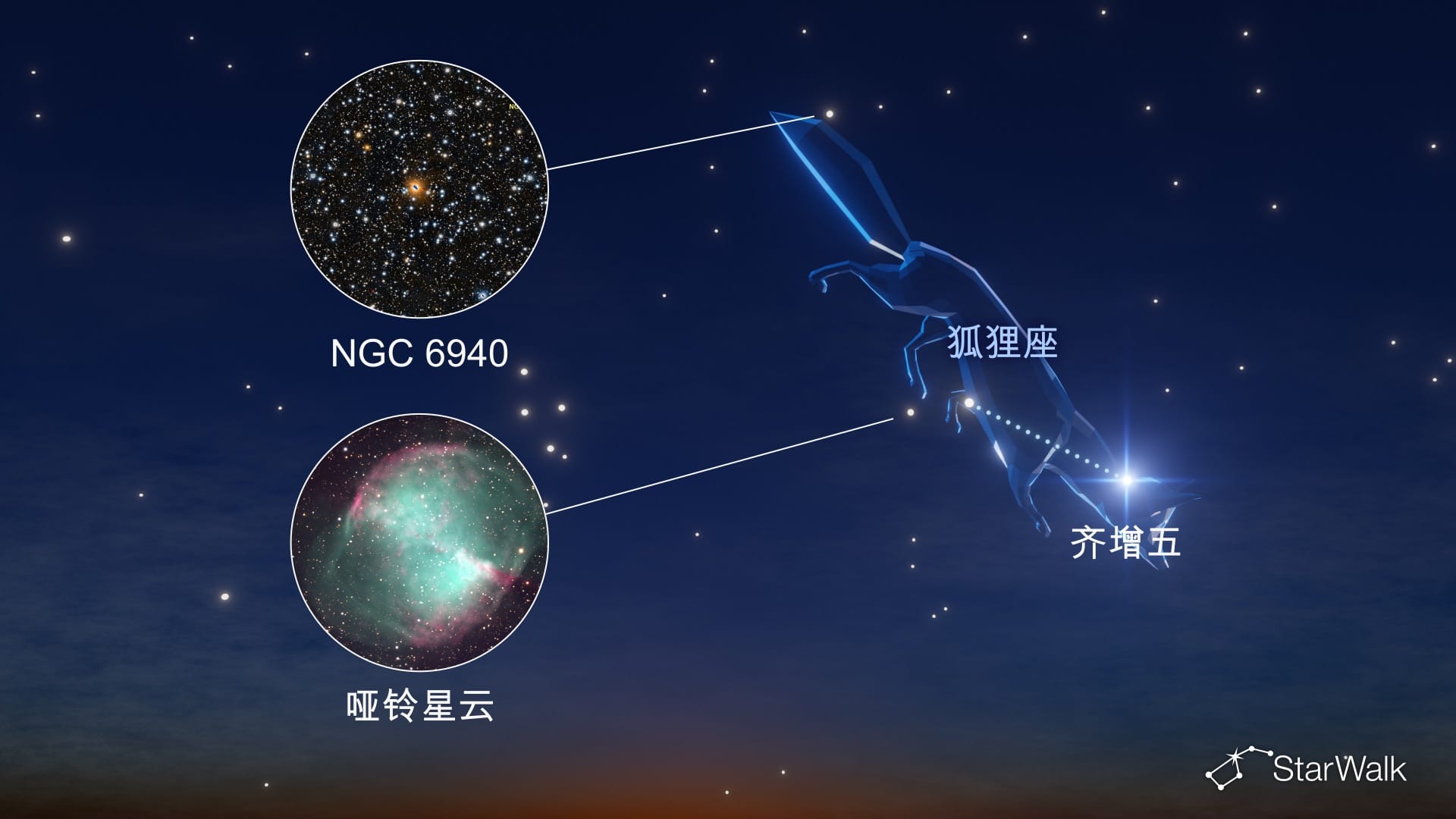 狐狸座