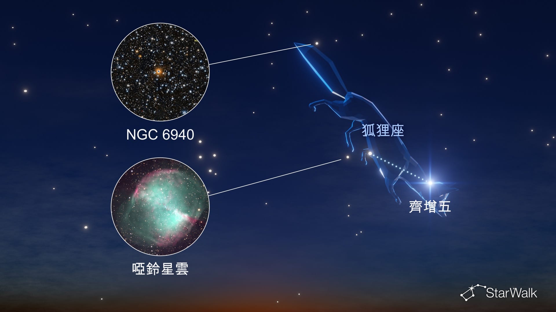 狐狸座