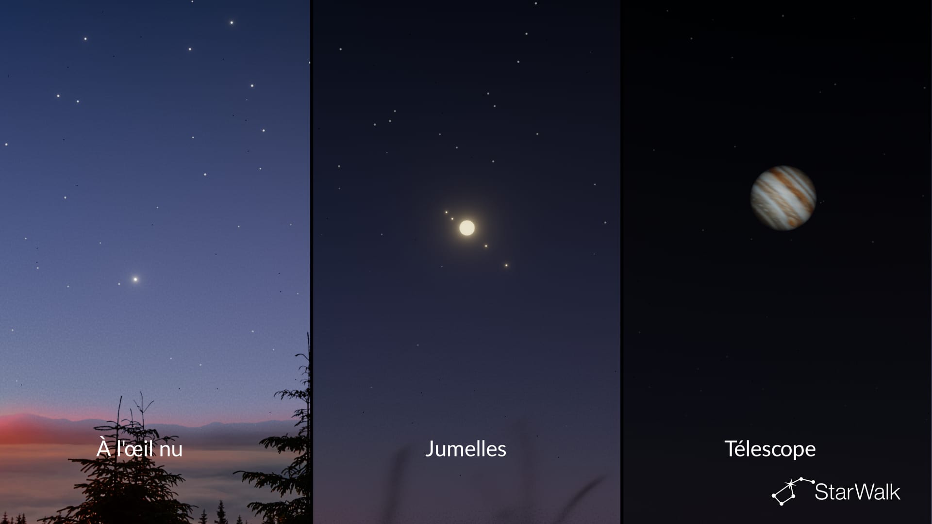 À quoi ressemble Jupiter ?