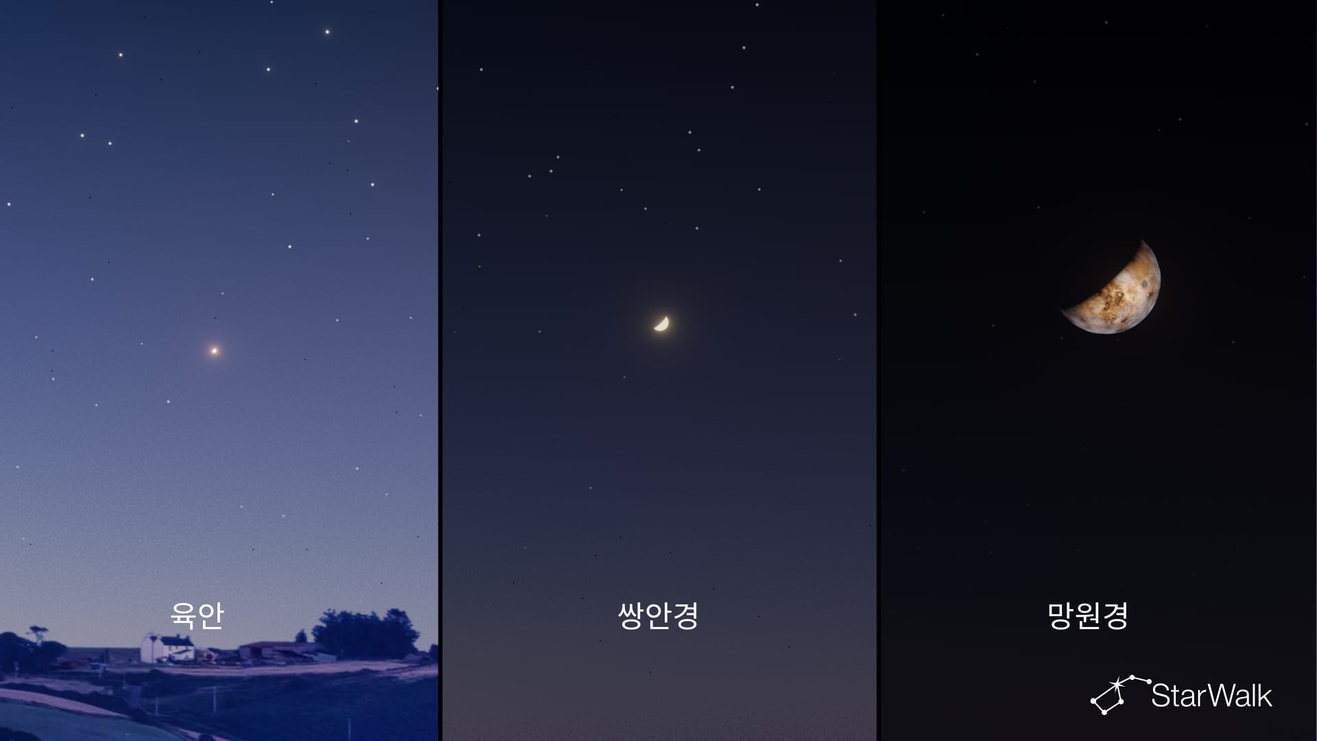 다양한 관측 도구로 본 금성