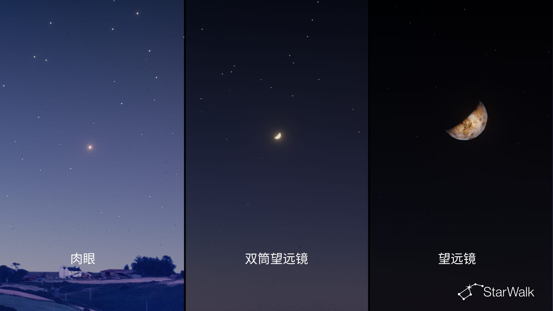 通过不同观测工具看到的金星