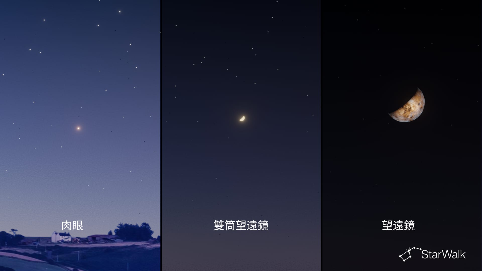 通過不同觀測工具看到的金星