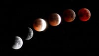 Éclipses lunaires : Ce qu'elles sont et quand les observer
