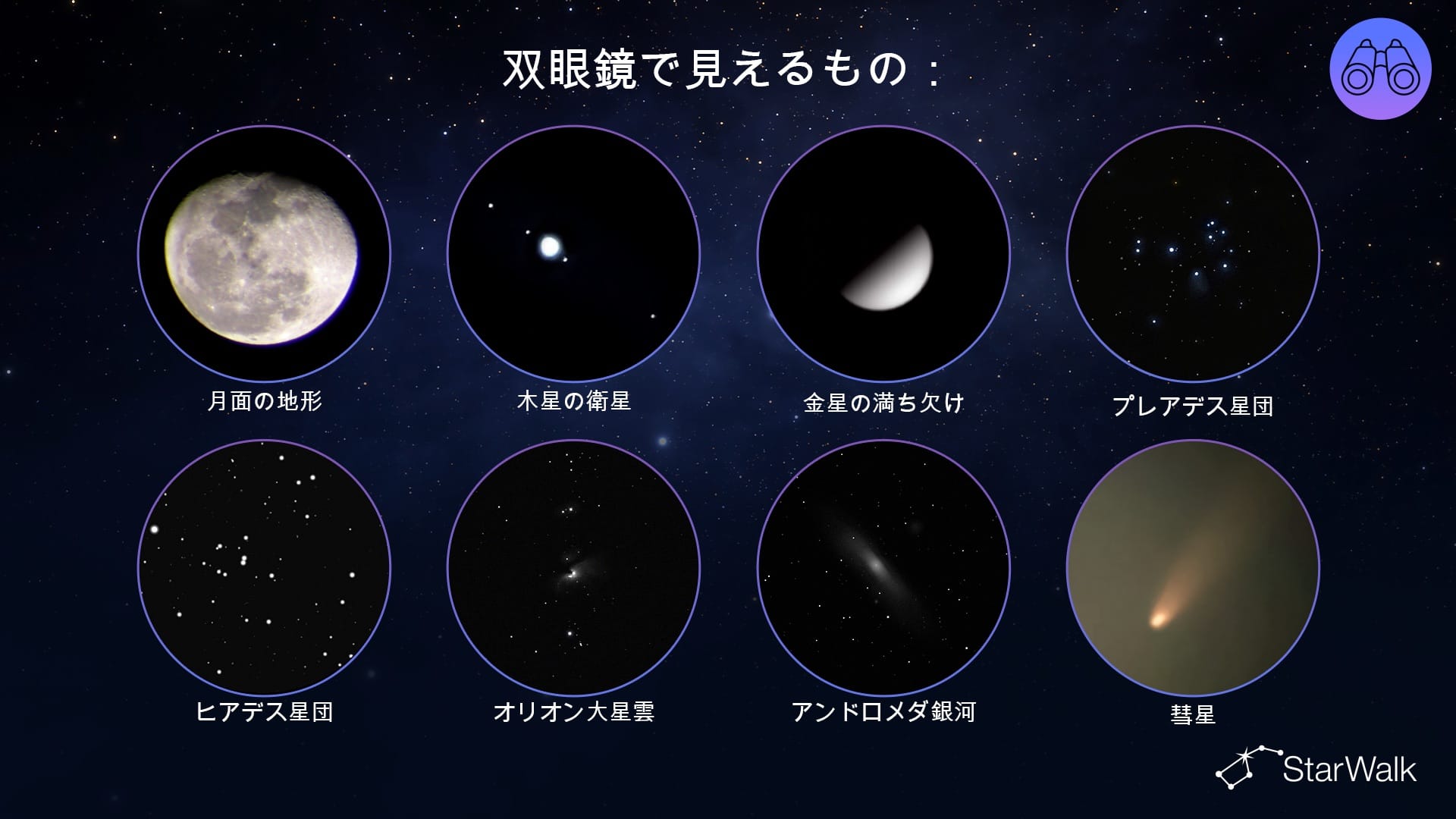 双眼鏡で何が見える?
