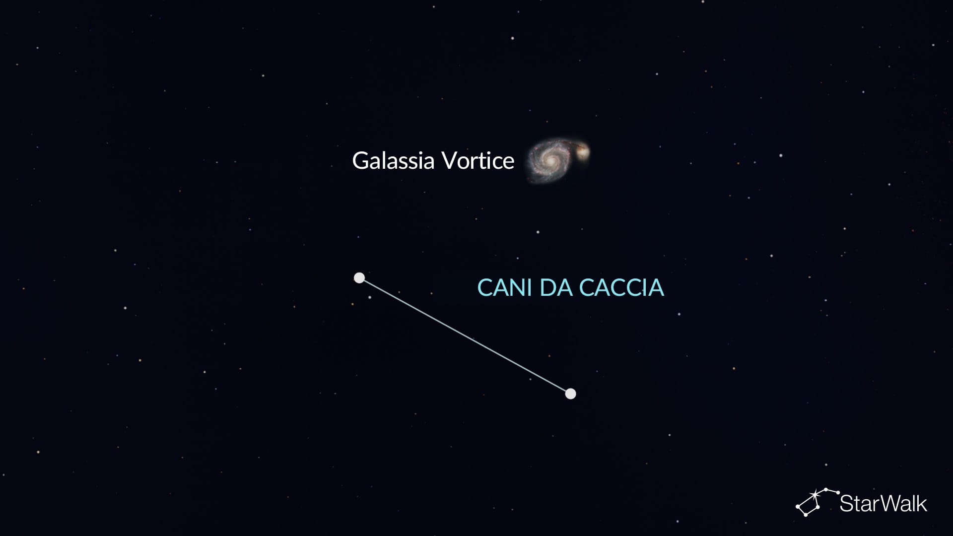 Galassia Vortice nei Cani da Caccia