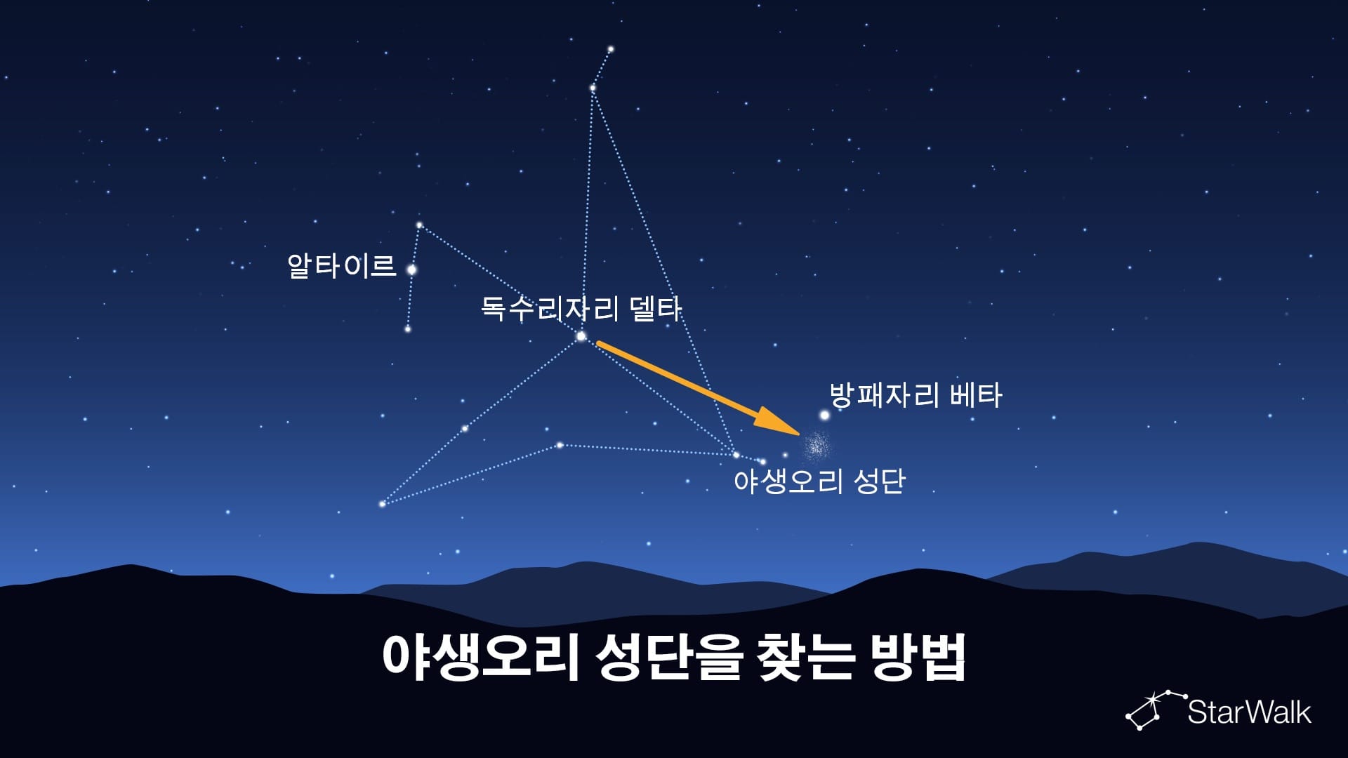 야생오리 성단을 찾는 방법