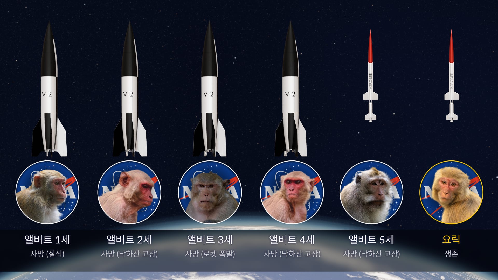 요릭과 그보다 먼저 발사된 원숭이들